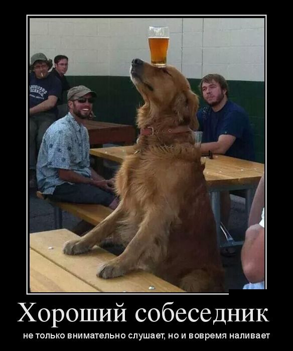 Демотиваторые новье.