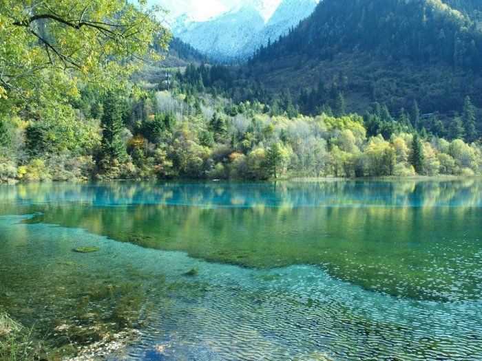 По настоящему красивая природа, все времена года на фото.