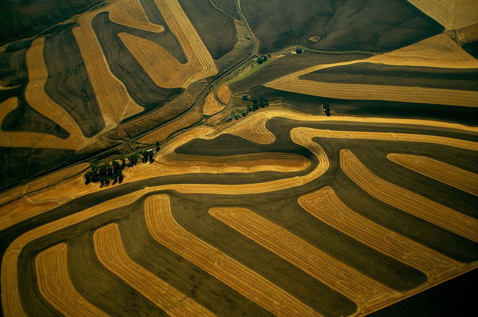 Мастер ви Yann Arthus-Bertrand