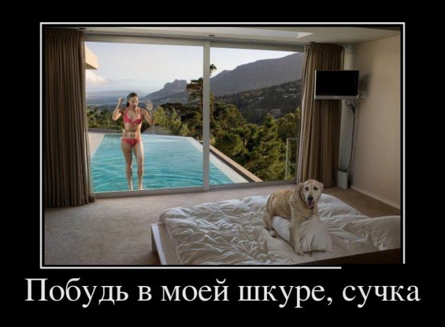 Прикольные демотиваторы и все у нас будет.