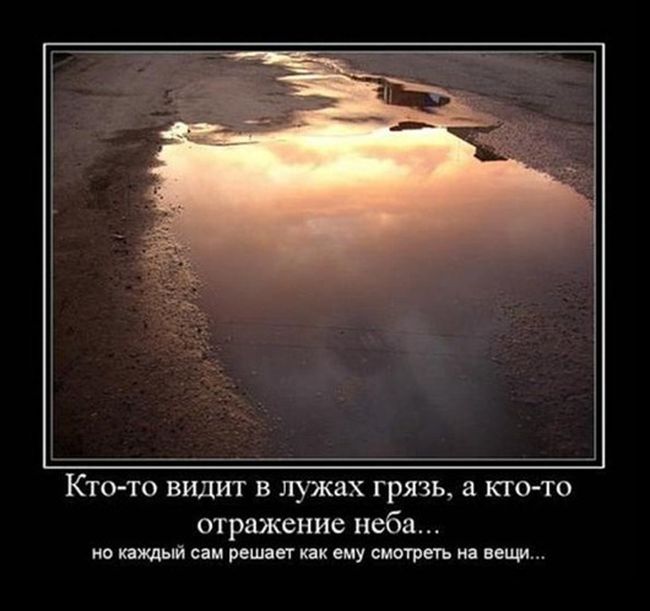 Прикольные демотиваторы, вечная тема.