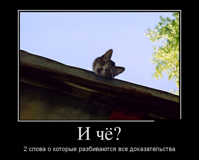 Прикольные демотиваторы, новые картинки с фразами.