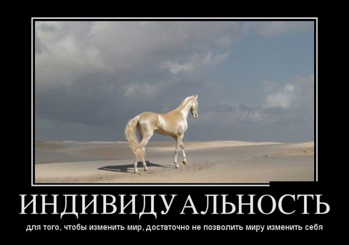 Прикольные демотиваторы и самые новые.