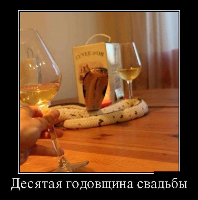 Демотиваторы не коньяк, чем новее - тем прикольней.