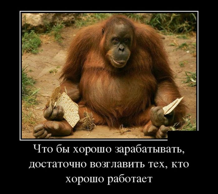 Самые смешные демотиваторы в подборке приколов.