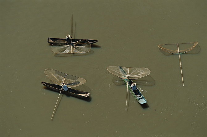 Мастер ви Yann Arthus-Bertrand