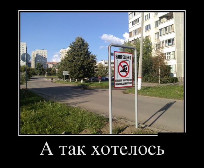 Прикольные демотиваторы и все у нас будет.
