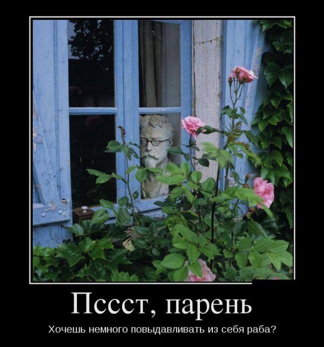 Демотиваторы приколы новые и смешные.
