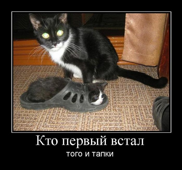 Демотиваторы с прикольным смыслом.