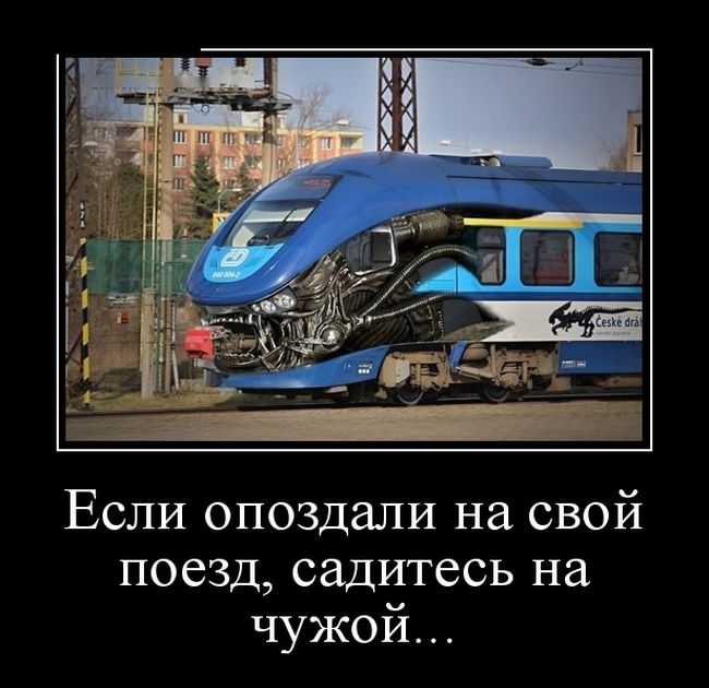 Самые смешные демотиваторы в подборке приколов.