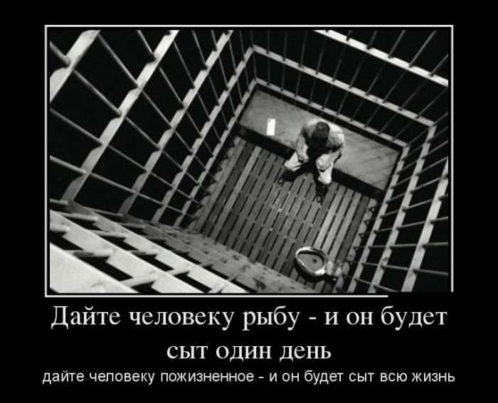 Демотиваторы. смотри их полностью.
