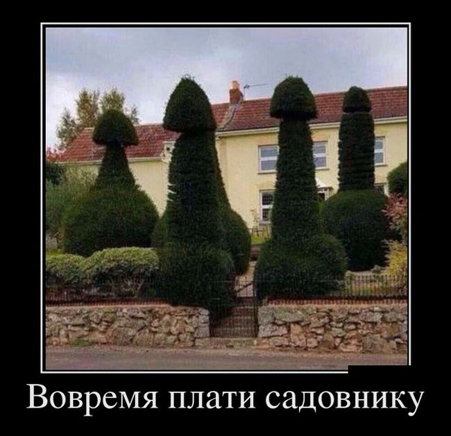 Шутки шутками, а демотиваторы то прикольные.