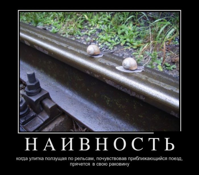 Прикольные демотиваторы, для ценителей позитива.