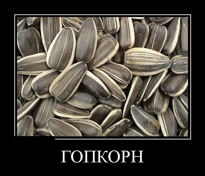 Классная подборка новых демотиваторов.