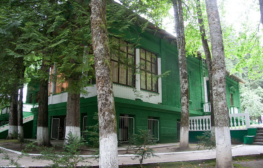 Дача товарища Сталина