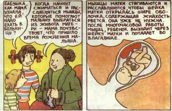 Откуда берутся дети? Китайская детская книжка