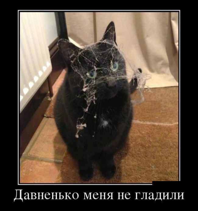 Демотиваторы приколы новые и смешные.