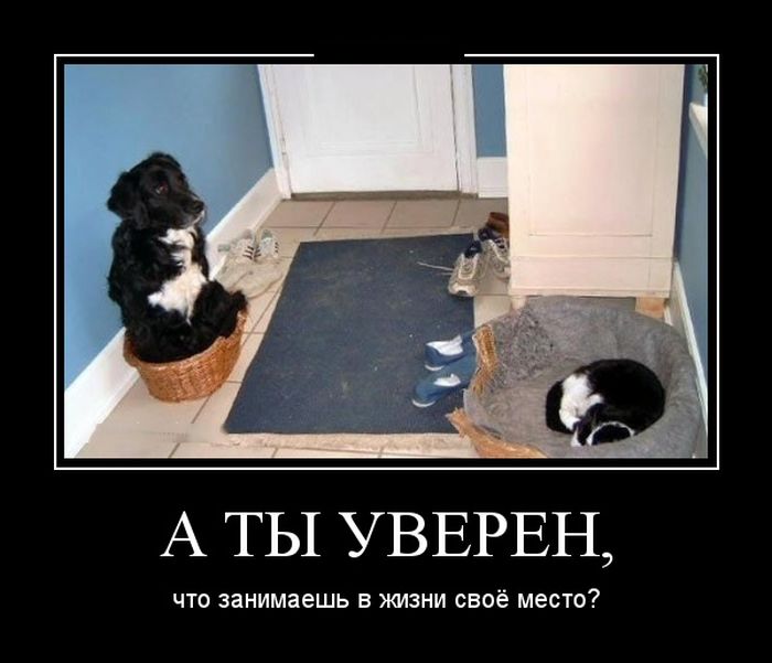 Только прикольные демотиваторы и смешные надписи.
