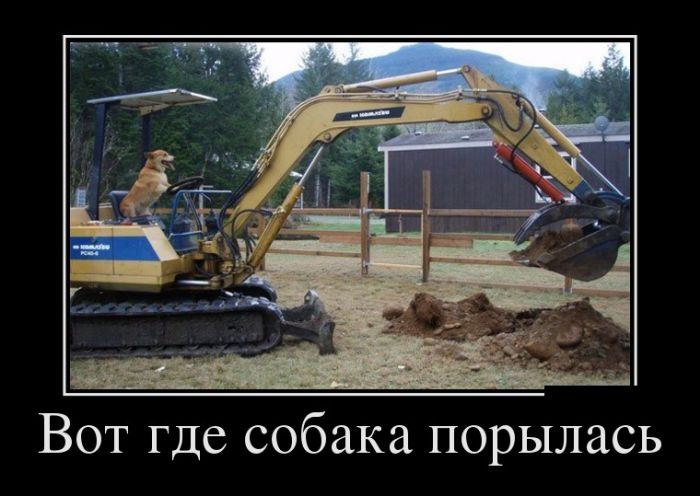 Демотиваторы с прикольным смыслом.