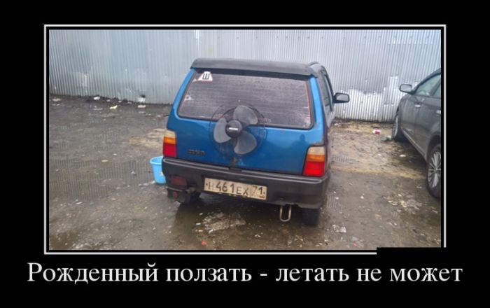Прикольные демотиваторы, новые картинки с фразами.