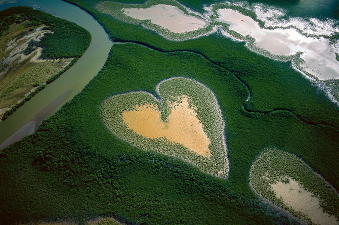 Мастер ви Yann Arthus-Bertrand
