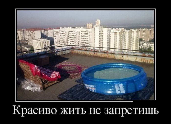Прикольные демотиваторы, новые картинки с фразами.