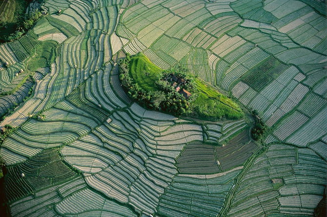 Мастер ви Yann Arthus-Bertrand