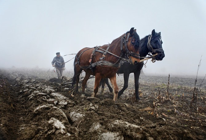 Люди со всего мира за работой.