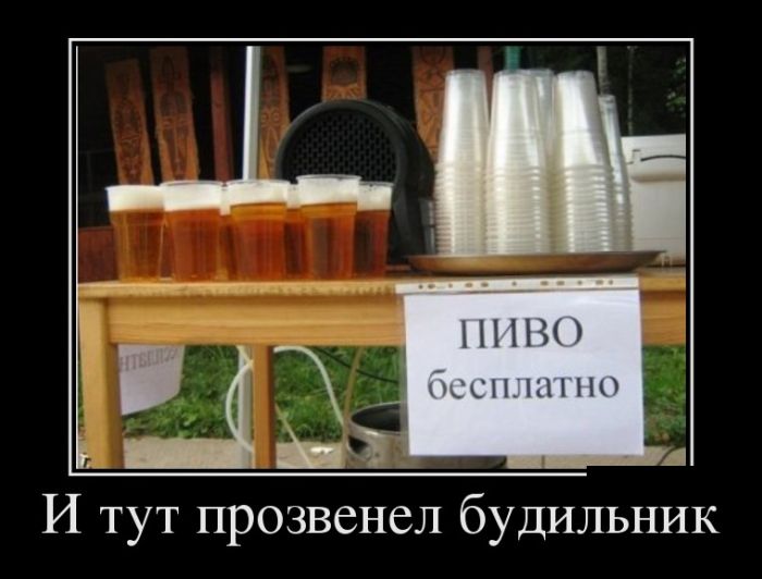 Прикольные демотиваторы, новые картинки с фразами.