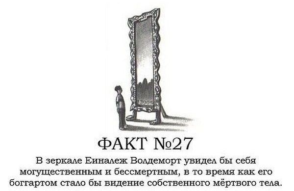 Интересные факты о Гарри Поттере.