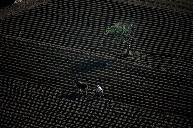 Мастер ви Yann Arthus-Bertrand