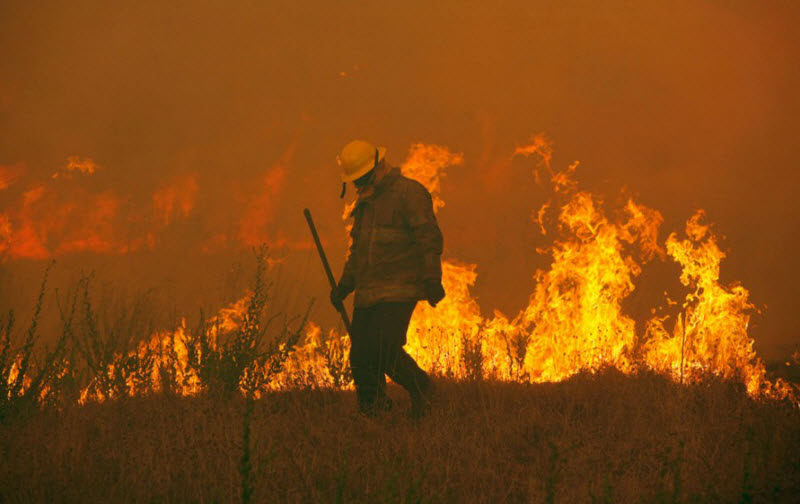 Лесные пожары в Техасе.