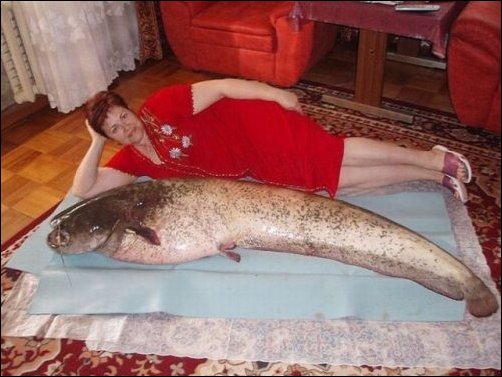 Социальные сети фото девушек и парней.