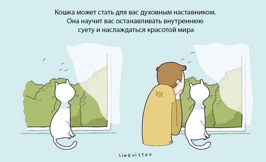Преимущество в том, что бы завести себе кошку