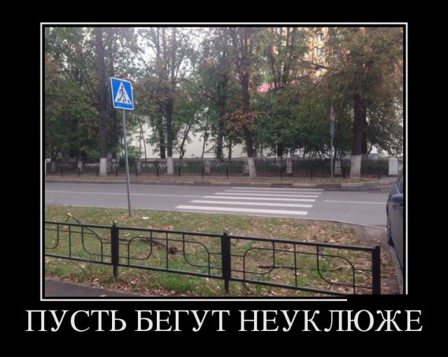Без демотиваторов - никуда!