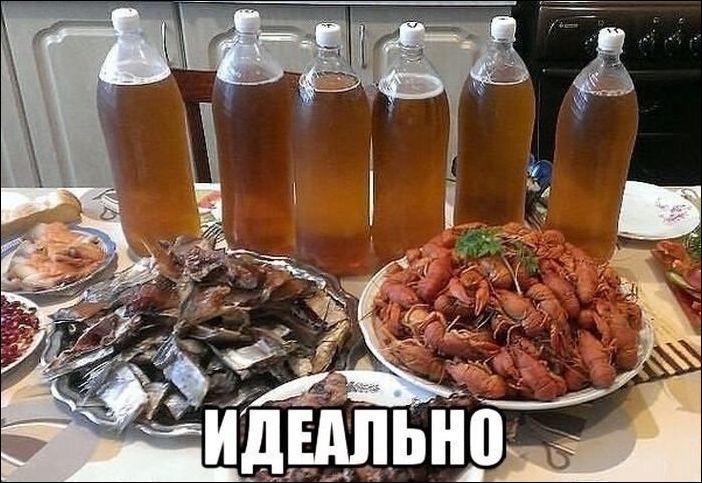 Подборка с фото приколами