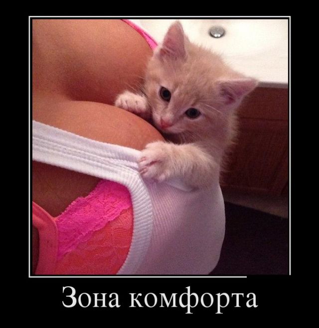 Прикольные демотиваторы и все у нас будет.