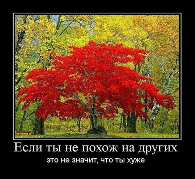 Прикольные демотиваторы, вечная тема.