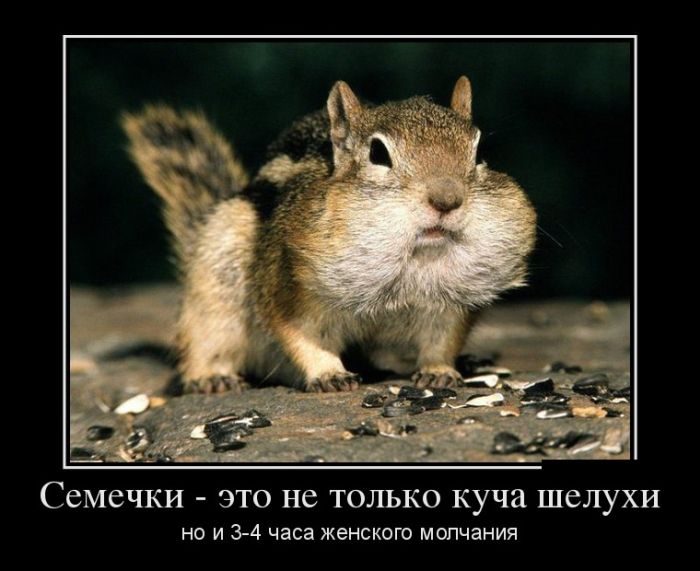 Демотиваторы с прикольными словами.