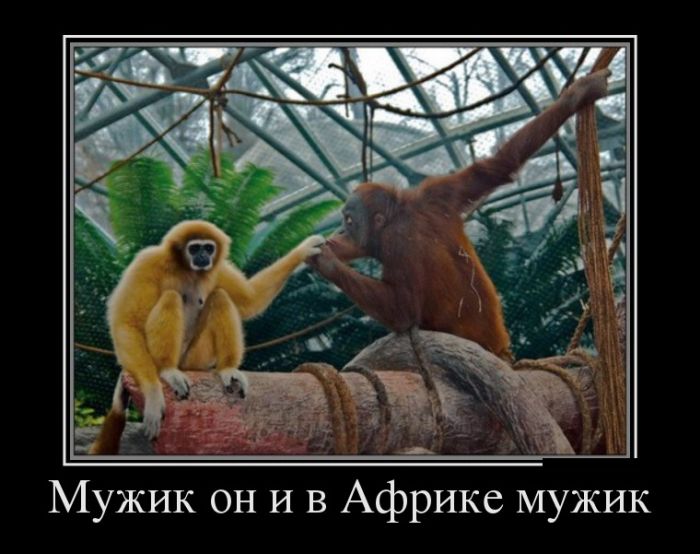 Картинка смешные про мужчин с надписями, для