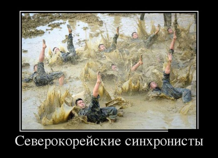 Демотиваторы, лучшие за день.