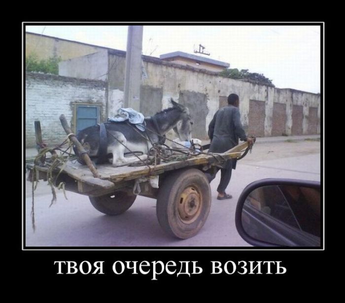 Демотиваторы, подборка новых и прикольных черных рамок.