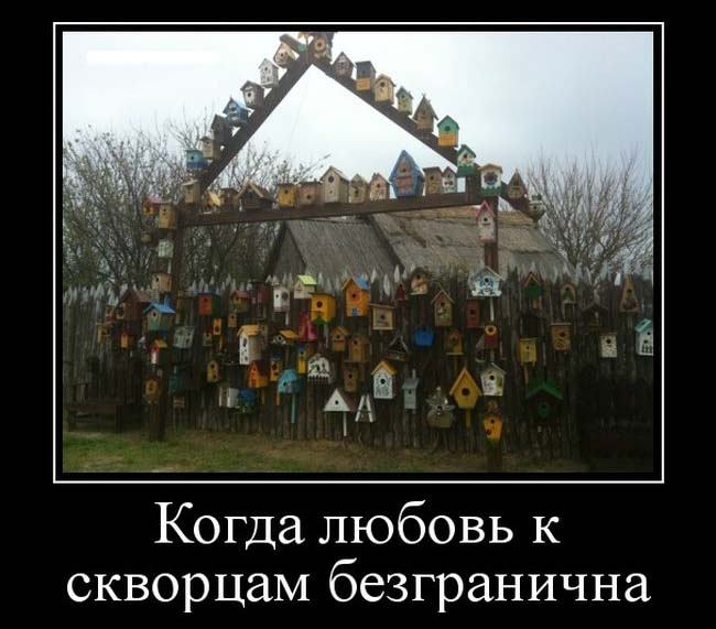 Прикольные демотиваторы для тебя.