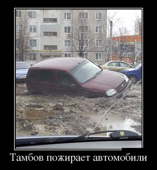Картинки прикольные и фразы в подборке демотиваторов.