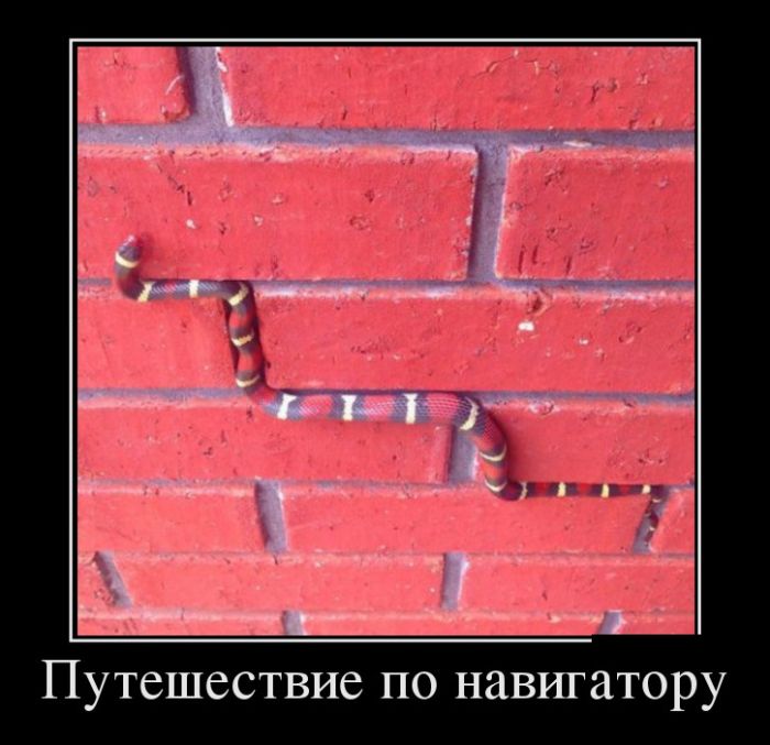 Лучшие демотиваторы на самые прикольные темы.