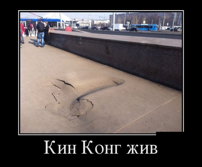 Самые смешные демотиваторы в подборке приколов.