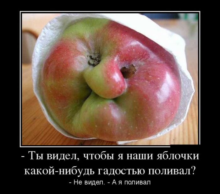 Прикольные демотиваторы, для ценителей позитива.