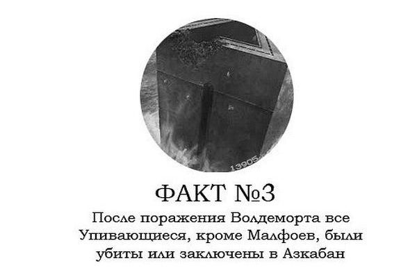 Интересные факты о Гарри Поттере.