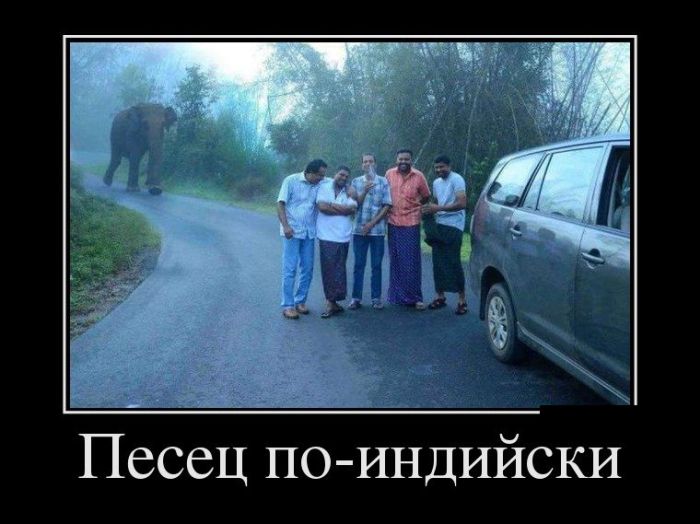 Демотиваторы на любой вкус