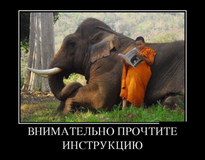 Демотиваторы фото с приколами.
